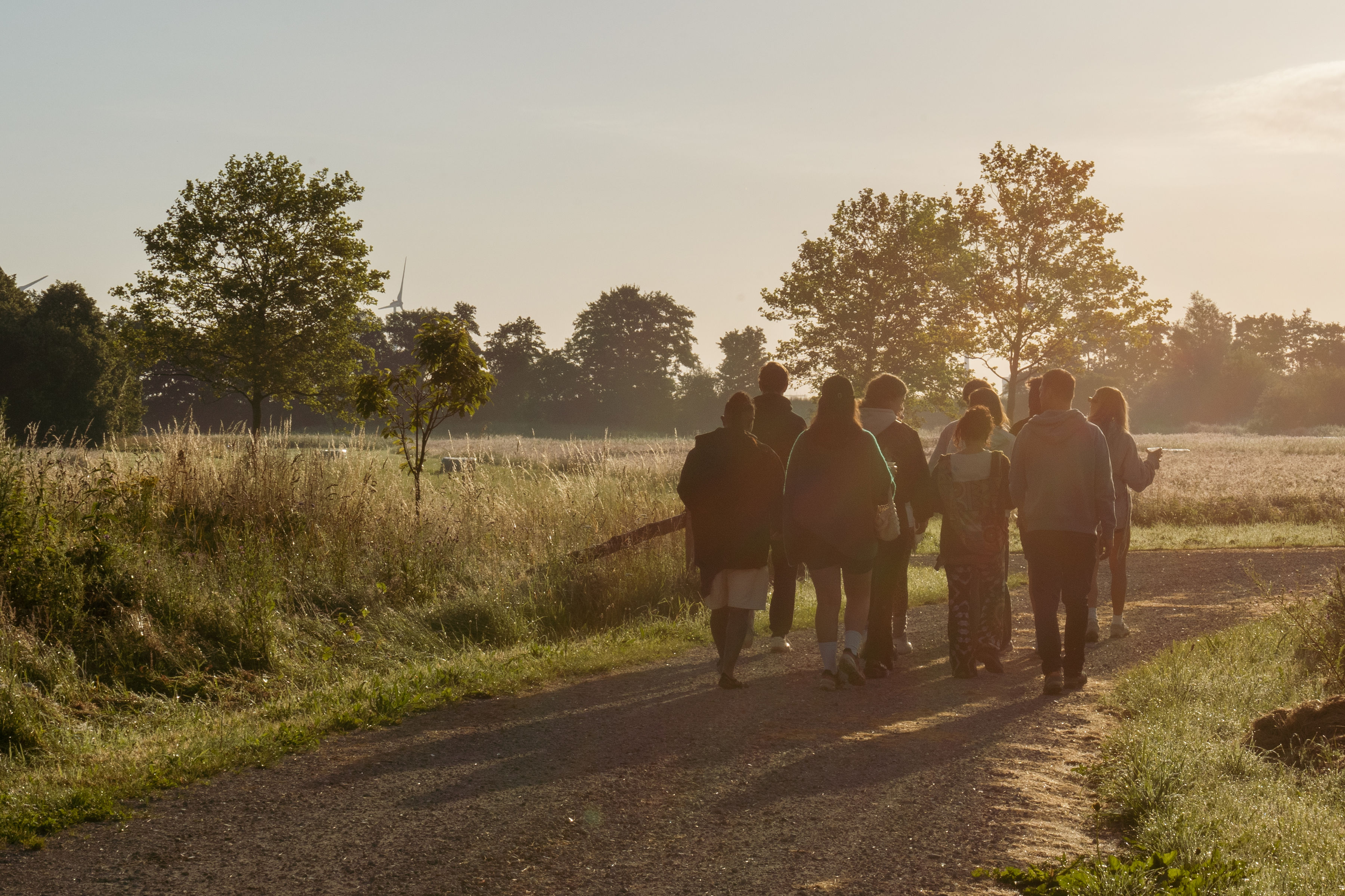 Group walking at sunset